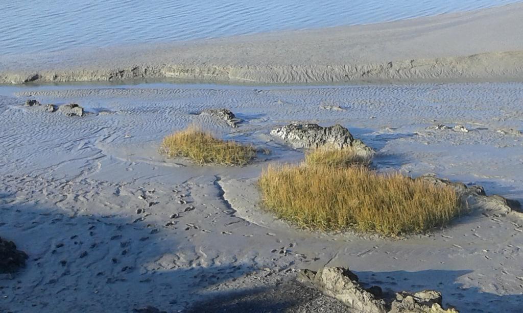 Вилла Les Hirondelles De La Baie Vains Экстерьер фото